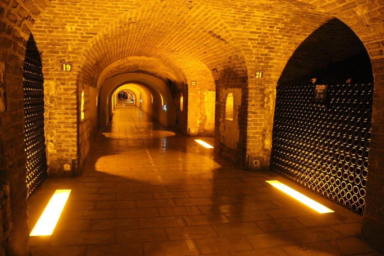 Hotel De Champagne Épernay Exteriér fotografie